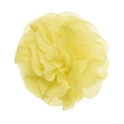 Spinka peonia flower amarillo